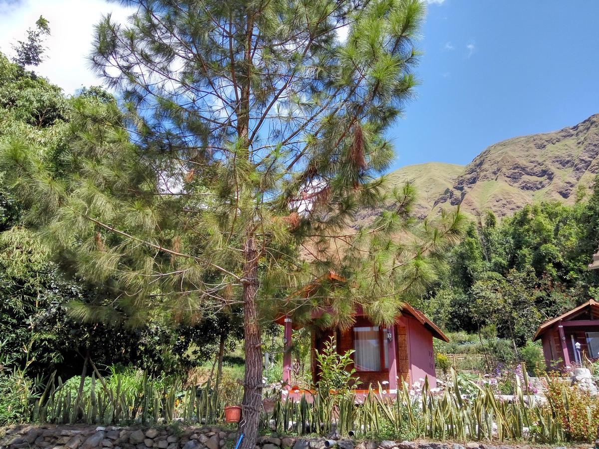 Sembalun Kita Cottage Sembalunlawang Zewnętrze zdjęcie